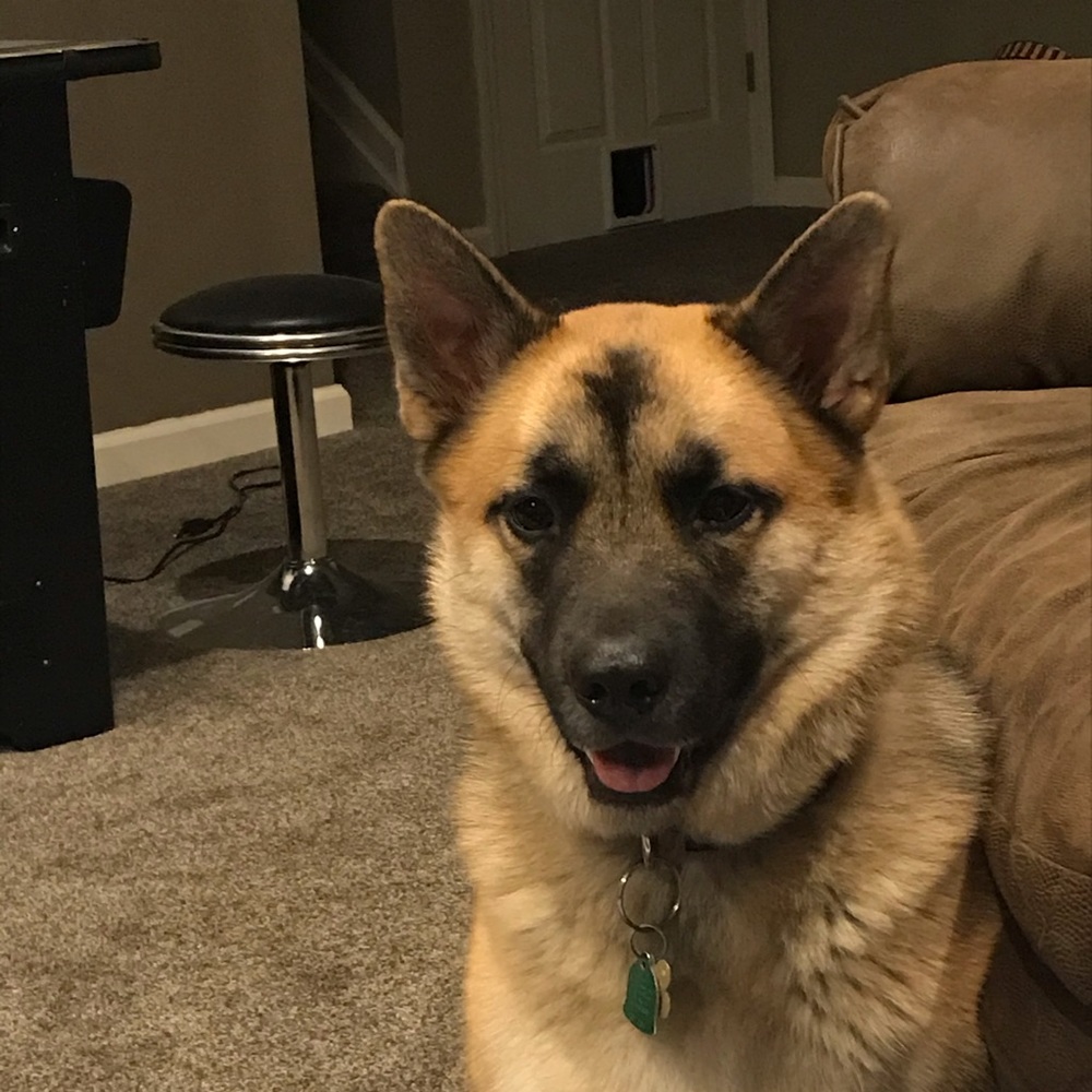 Meet your Posher, Sandra